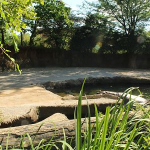 Jul. 2018 - River's Edge - Hippo Harbor