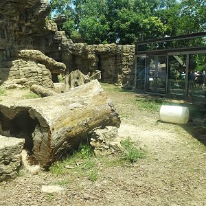 Jul. 2018 - Grizzly Ridge (Right Side)