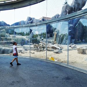 Jul. 2018 - Polar Bear Point - Middle Viewing