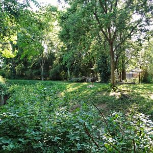 Jul. 2018 - River's Edge - Cheetah Exhibit