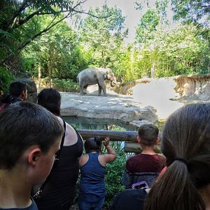 Jul. 2018 - River's Edge - Raja's Exhibit