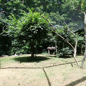 Secretary Bird Enclosure