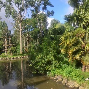 Kikuyu Guereza and Ruffed Lemur Enclosures at Beauval, 12/06/18