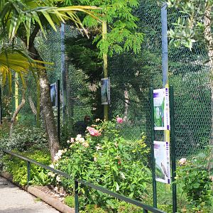 Aviaries at Beauval, 12/06/18