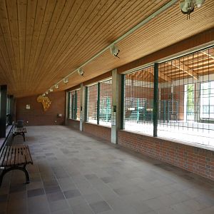 Giraffe House Viewing Area