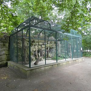 Barred Eagle-Owl Aviary
