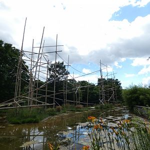 Lar Gibbon Enclosure