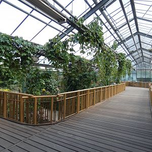 View in Crocodile House