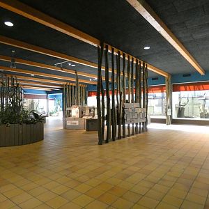 View inside Primate House