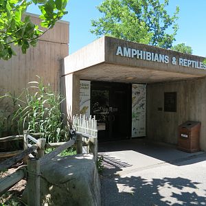 Amphibians & Reptiles - Building Entrance