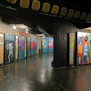 Amphibians & Reptiles - Hallway