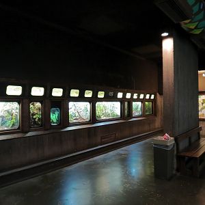 Amphibians & Reptiles - Hallway