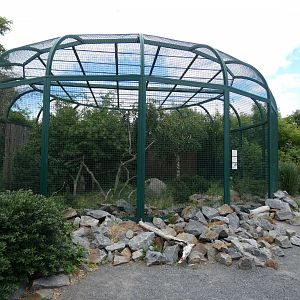 Pallas Cat enclosure