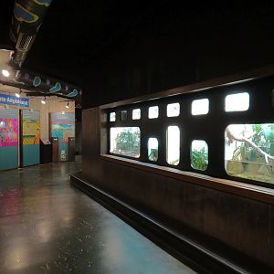 Amphibians & Reptiles - Hallway