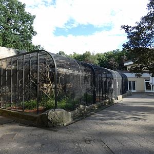 Parrot Aviaries