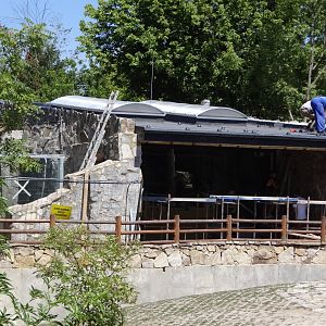 Clouded Leopard exhibit under construction