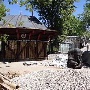 Clouded Leopard exhibit under construction