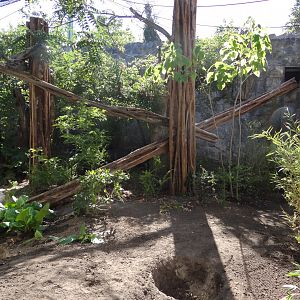 Second Clouded Leopard enclosure under construction