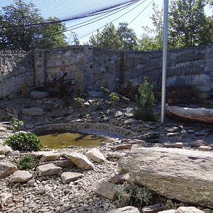 Snow Leopard enclosure under construction