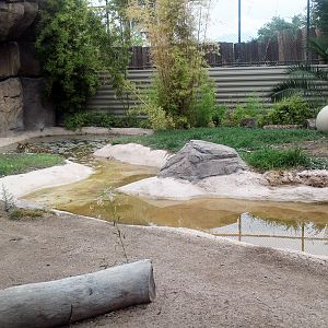 malayan tiger exhibit