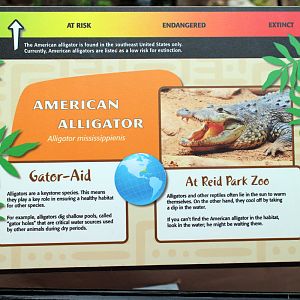 alligator sign with crocodile photo