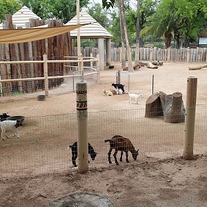 goat exhbit (former camel ride, former elephant)