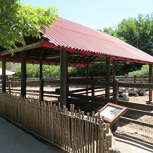 Children's Farms - Asian Farm
