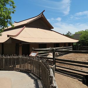 Children's Farms - Asian Farm - Gyr Zebu Exhibit