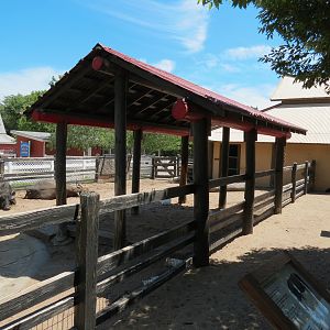 Children's Farms - Asian Farm - Domestic Water Buffalo and Pot-bellied Pig Exhibit