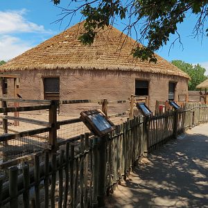 Children's Farms - African Farm - Mixed Species Exhibit