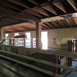 Children's Farms - American Farm - Barn