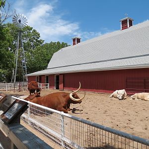 Children's Farms - American Farm - Barn