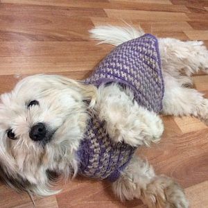 This is Annabelle aka Hazzy