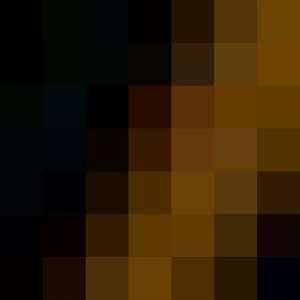 Malagasy giant jumping rat