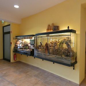 Black Hardun and Typical Striped Grass Mouse enclosures