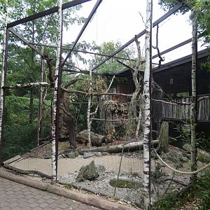 Mixed Aviary