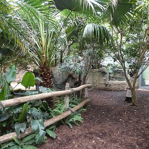 View inside Tapir House
