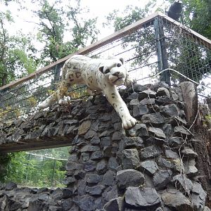 Snow Leopard statue
