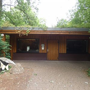 Giant Anteater house