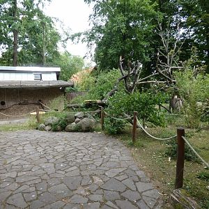 View of White-faced Saki Monkey Walk-through