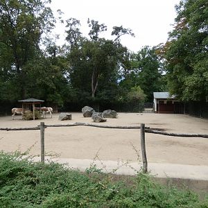 Onager Paddock