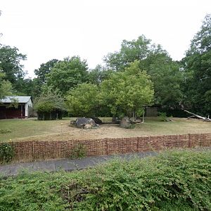 Agile Wallaby enclosure