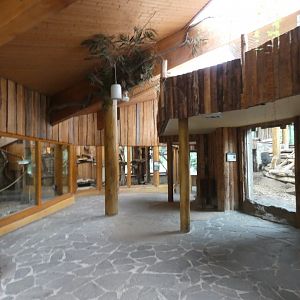 Viewing area in Mandrill house