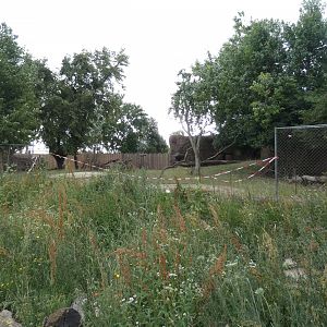 Lesser Kudu and Stanley Crane Enclosure