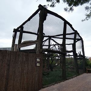 Media 'Bateleur and White-necked Raven Aviary' in category 'Zoologischer Garten Magdeburg'