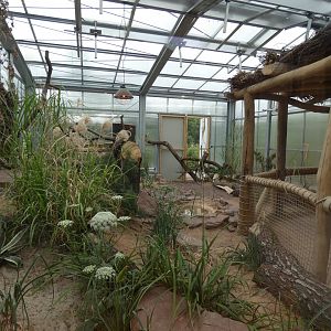 Media 'Sand Cat Enclosure' in category 'Zoologischer Garten Magdeburg'