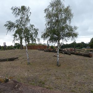 View of Elephant enclosure