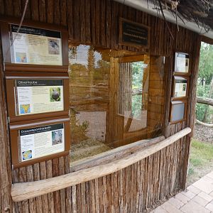 Indoor viewing of aviary