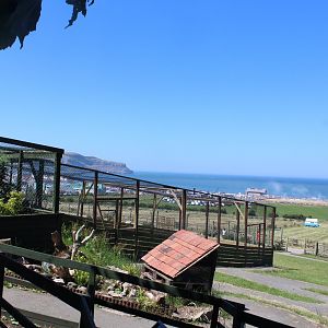 aviaries 30th June 2018