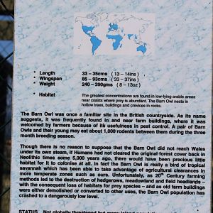 signage 30th June 2018